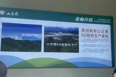 中国联通“黔”途无量 夯实数字化转型数据底座 贵州科技公司